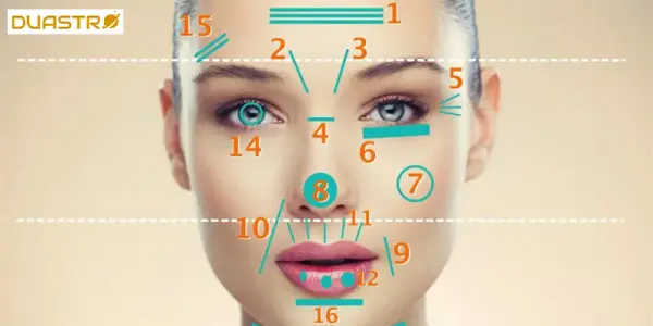 Facial Features in Face Reading - Insights into Character